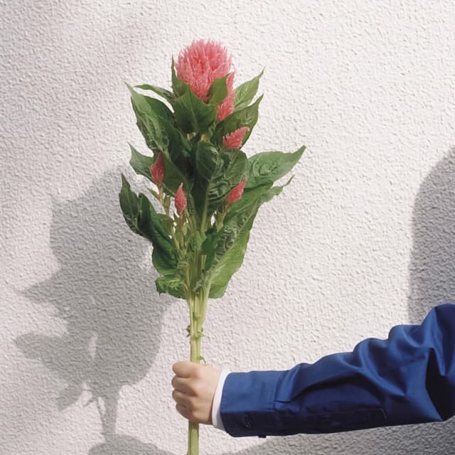 Album cover art for さよならマーガレット