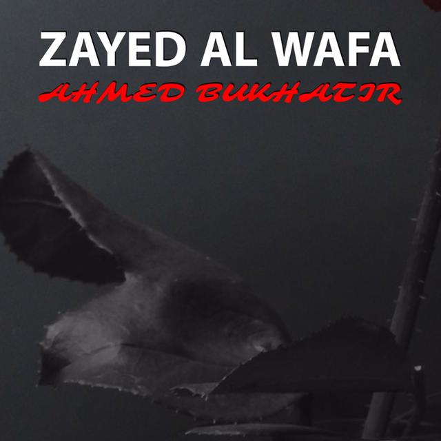 Album cover art for Zayed Al Wafa