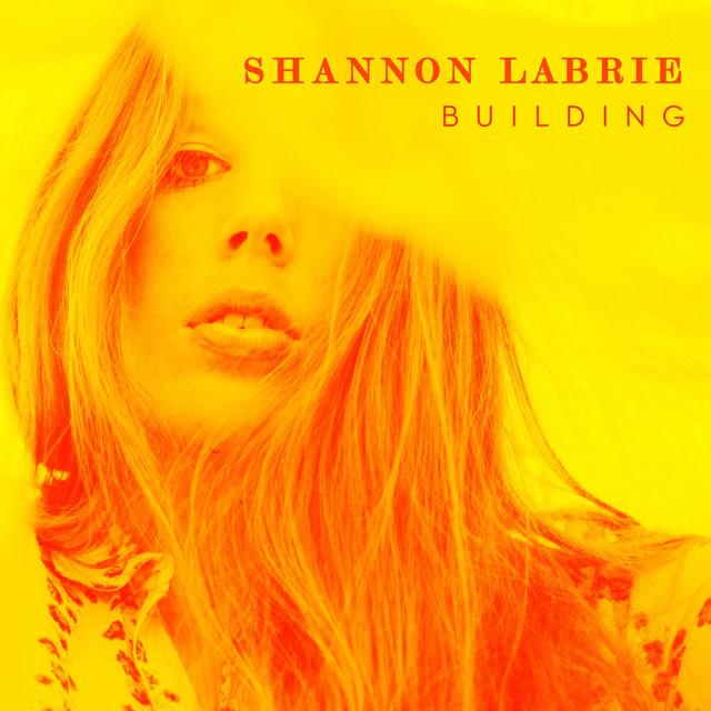 Album cover art for Building