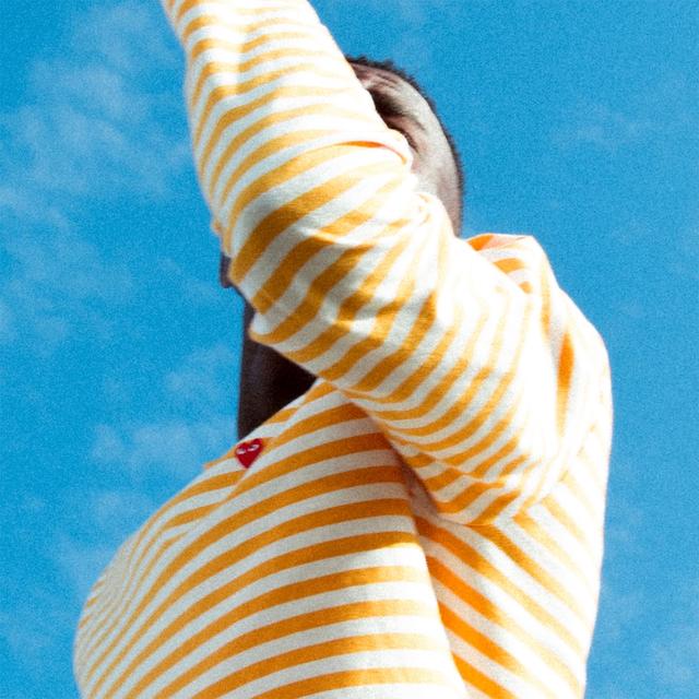 Album cover art for Analogue