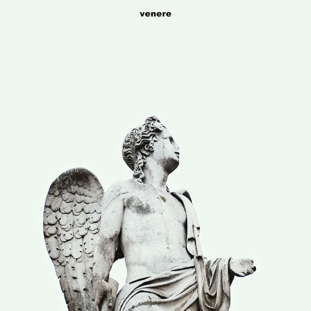 Album cover art for Venere