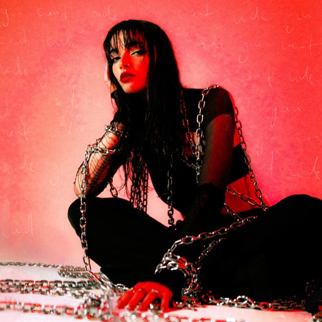Album cover art for You Can't Hide