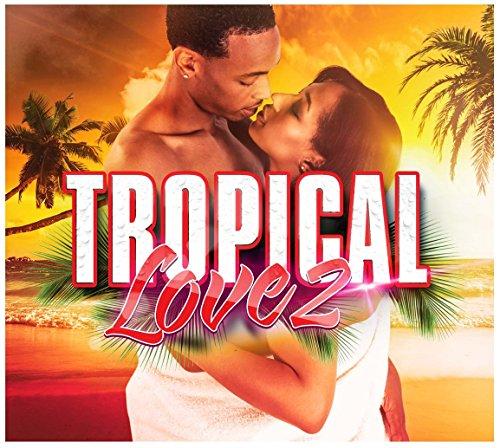 Album cover art for Tropical Love 2