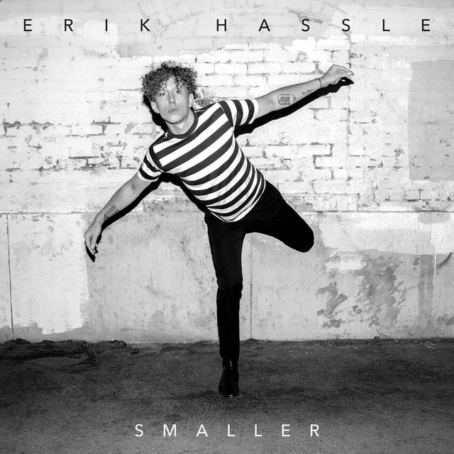 Album cover art for Smaller