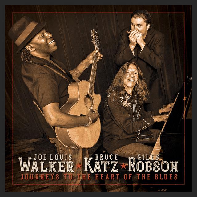 Album cover art for Journeys to the Heart of the Blues
