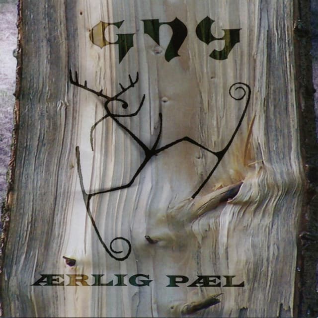 Album cover art for Ærlig Pæl