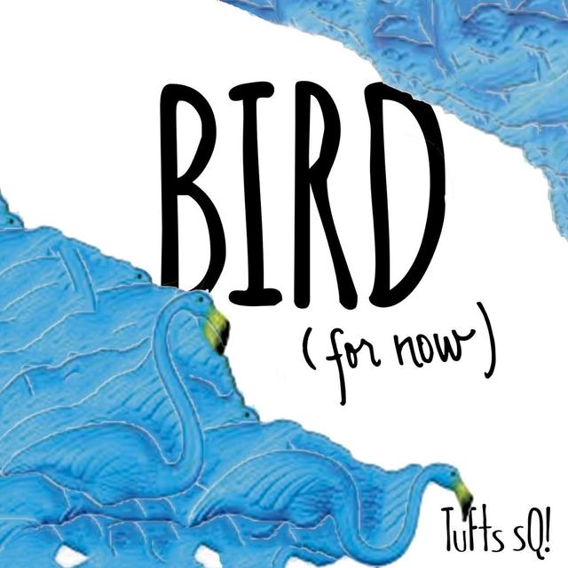 Album cover art for Bird (For Now)