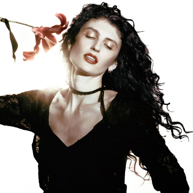 Album cover art for Picking Petals
