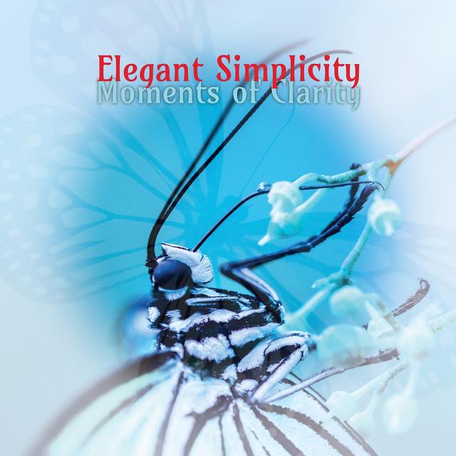 Album cover art for Moments of Clarity