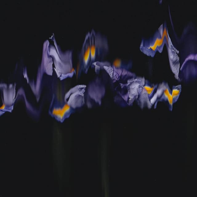 Album cover art for After-Image