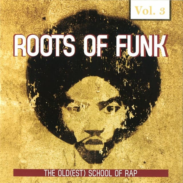 Album cover art for Roots Of Funk, Vol. 3
