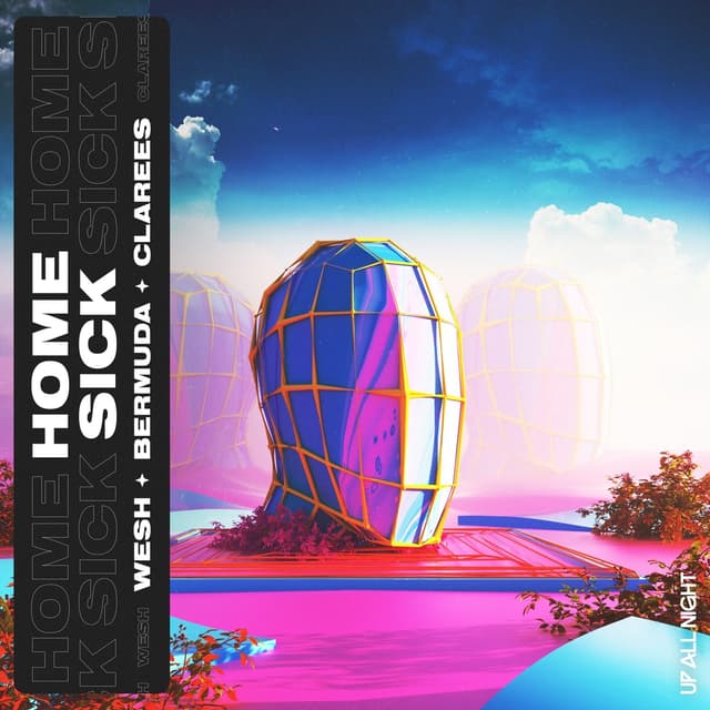 Album cover art for Homesick
