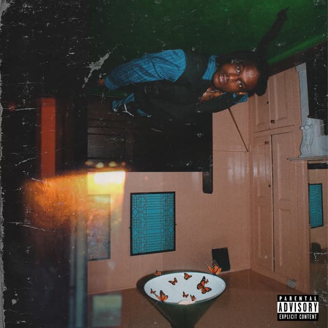Album cover art for Butterflies, Pt. 1