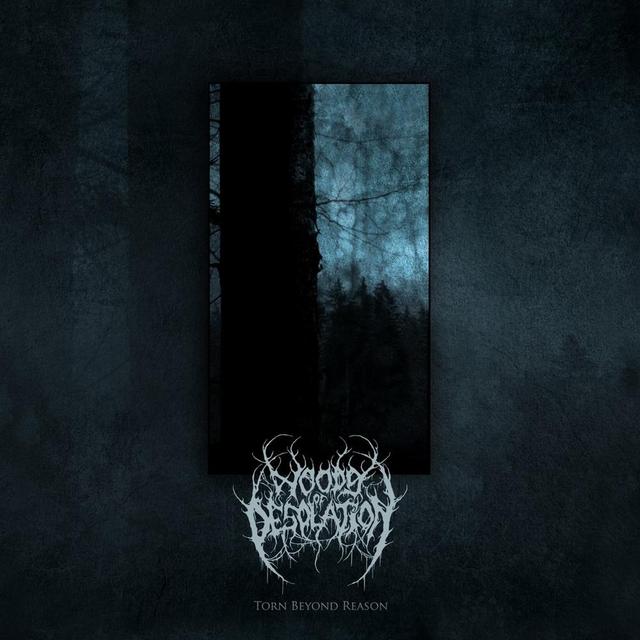 Album cover art for Torn Beyond Reason