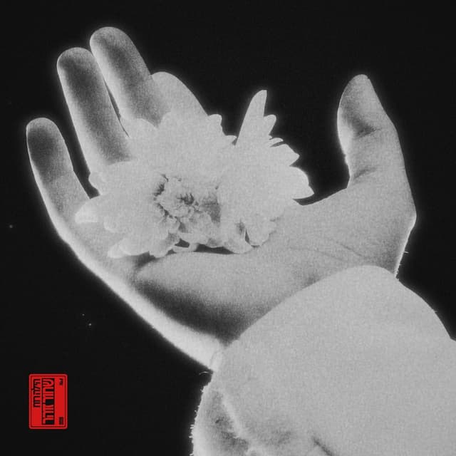 Album cover art for שחור זוהר