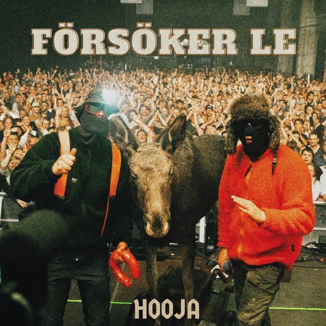 Album cover art for FÖRSÖKER LE