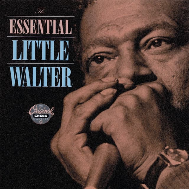 Album cover art for The Essential Little Walter