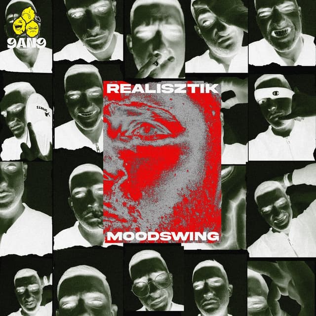 Album cover art for MOODSWING