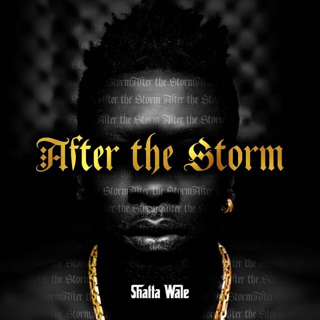Album cover art for After the Storm