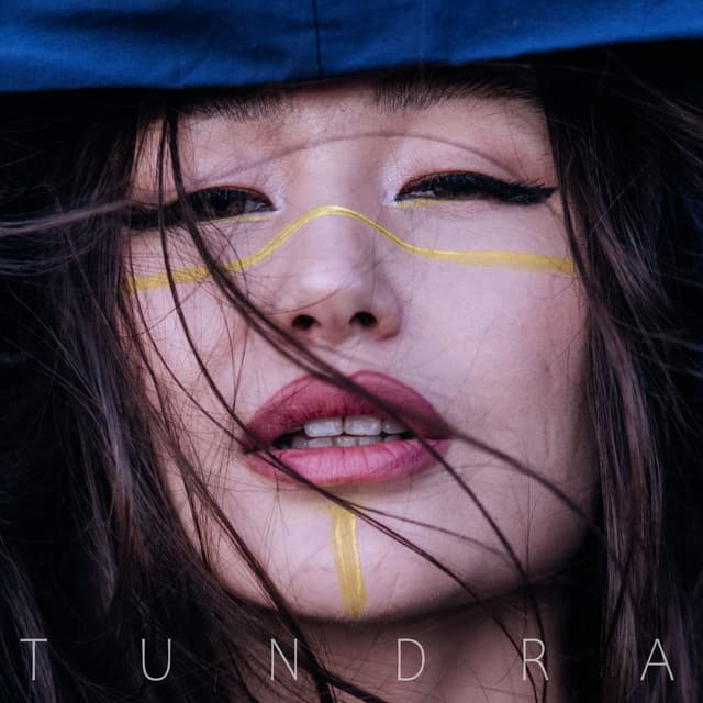 Album cover art for Tundra