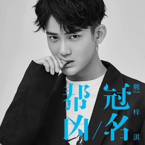 Album cover art for 冠名帮凶