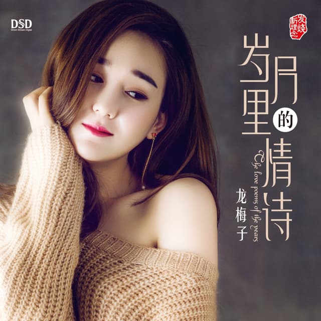 Album cover art for 岁月里的情诗