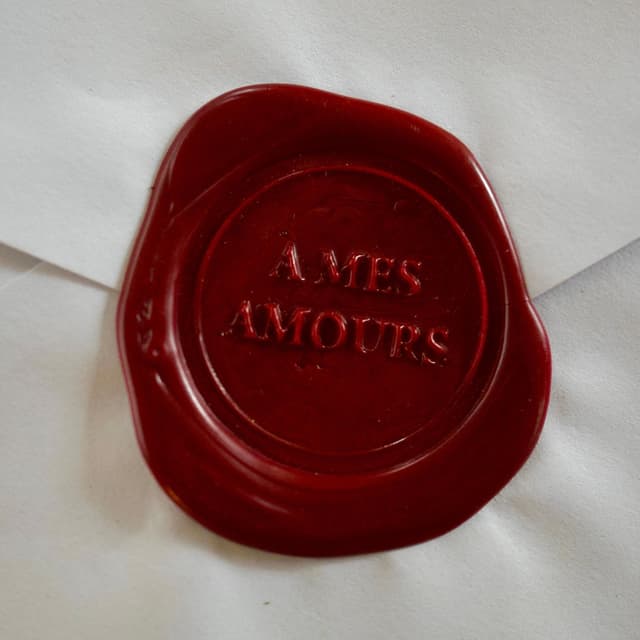 Album cover art for À mes amours