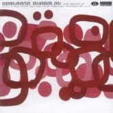 Album cover art for The Genius of Bertrand Burgalat
