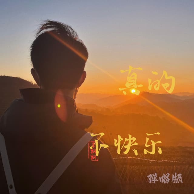 Album cover art for 真的不快乐