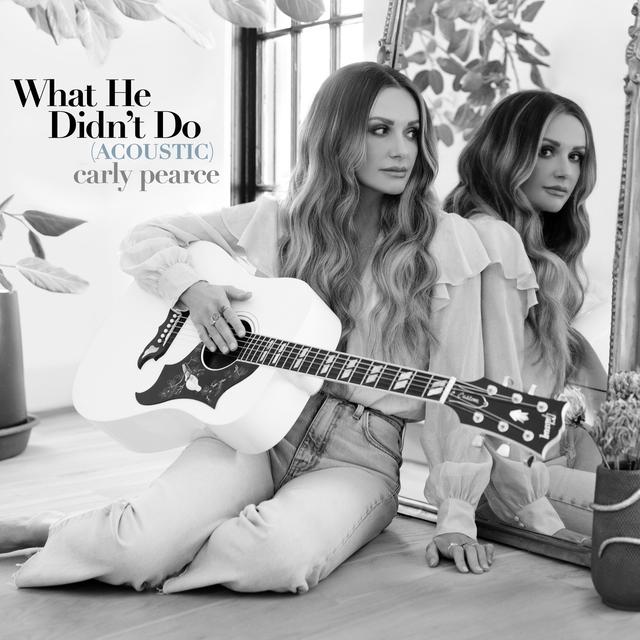 Album cover art for What He Didn't Do