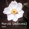 Farväl [skånska]