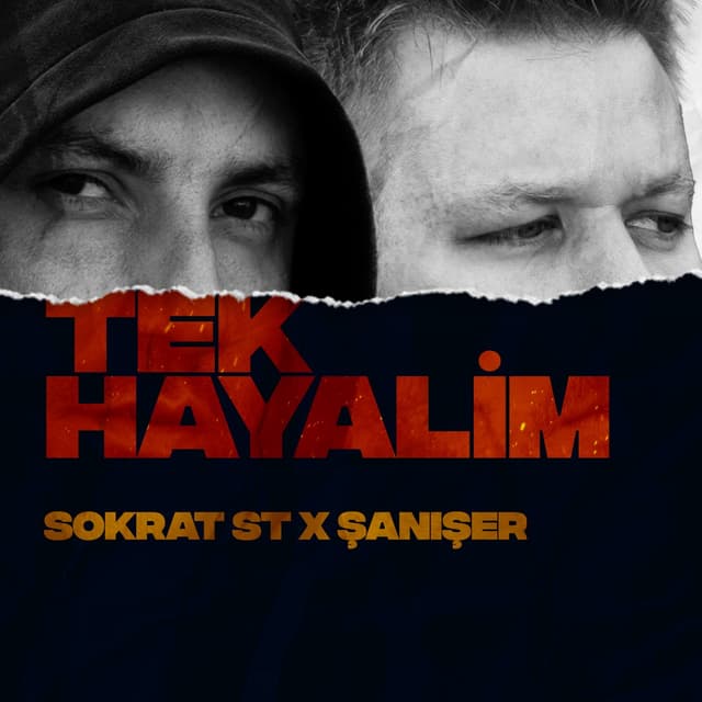 Album cover art for Tek Hayalim