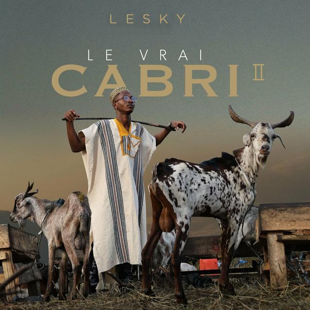 Album cover art for Le Vrai Cabri 2