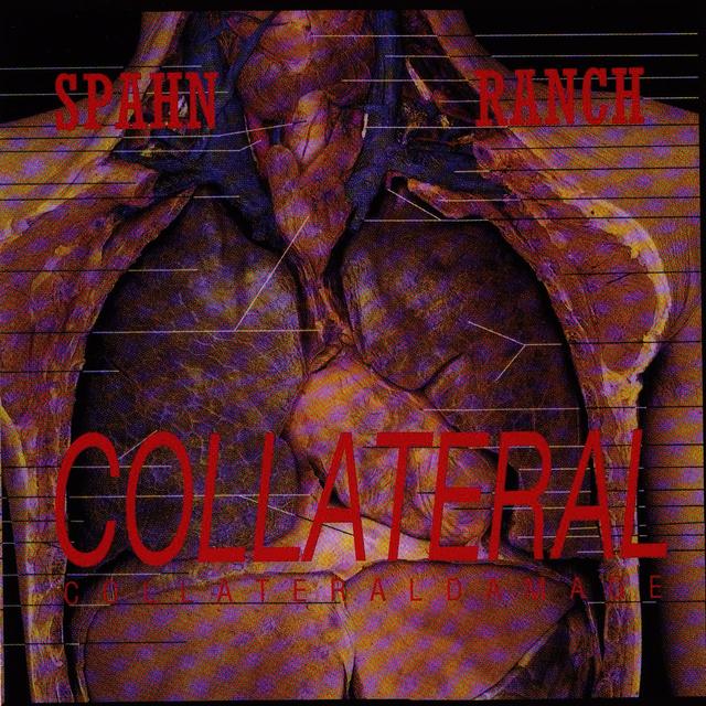 Album cover art for Collateral Damage