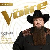 Album cover art for The Voice : The Complete Season 11 Collection