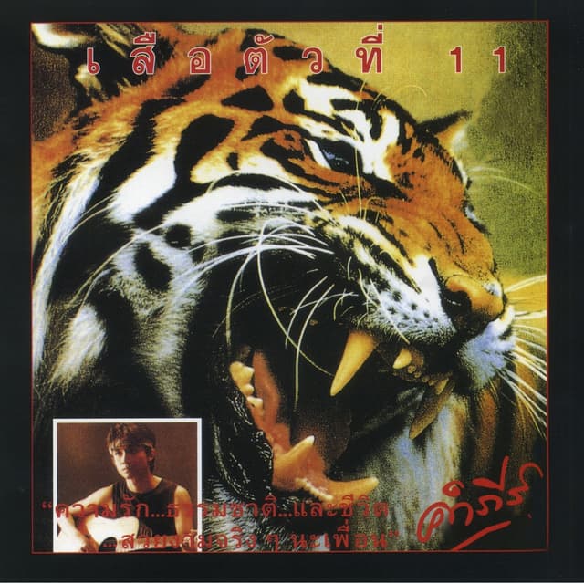 Album cover art for เสือตัวที่ 11