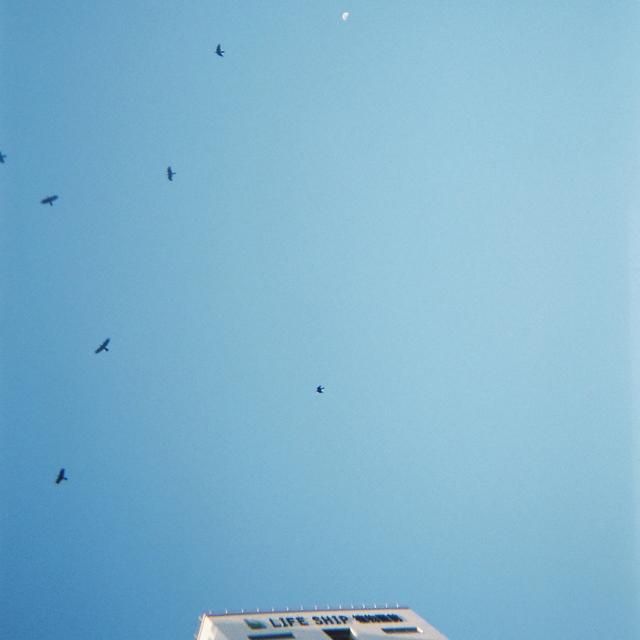 Album cover art for 明け