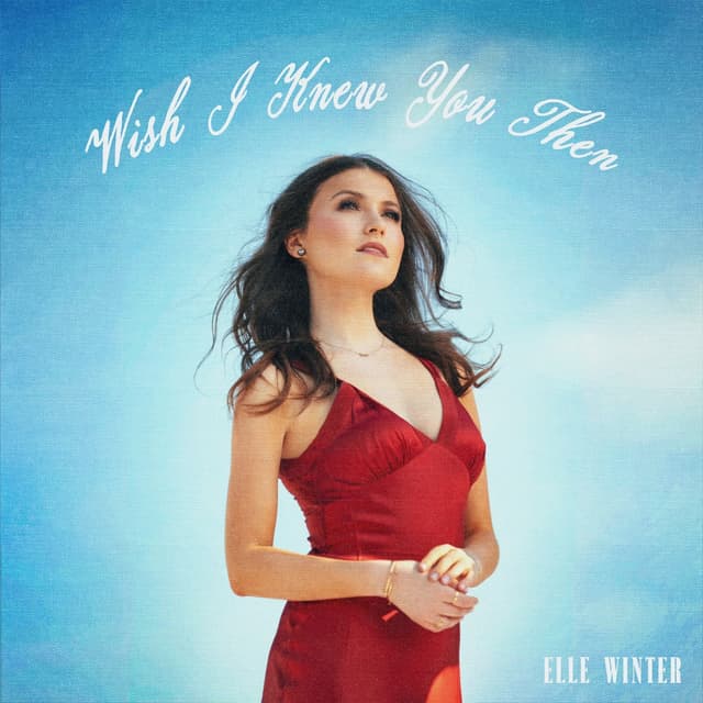 Album cover art for Wish I Knew You Then