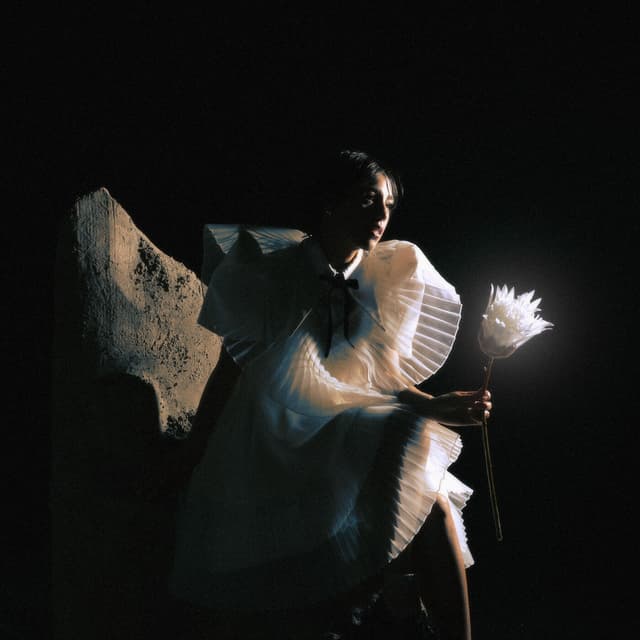 Album cover art for Time Is a Flower