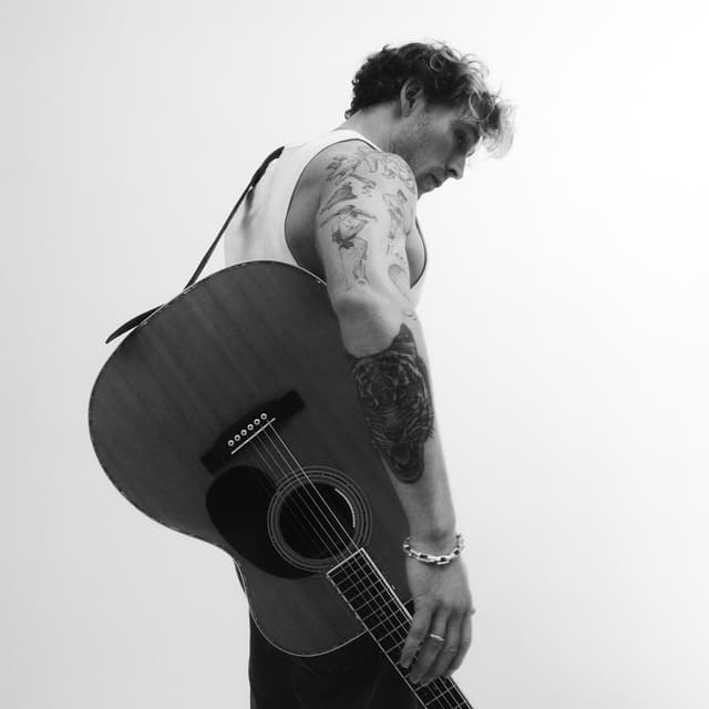 Album cover art for Ham Med Guitaren