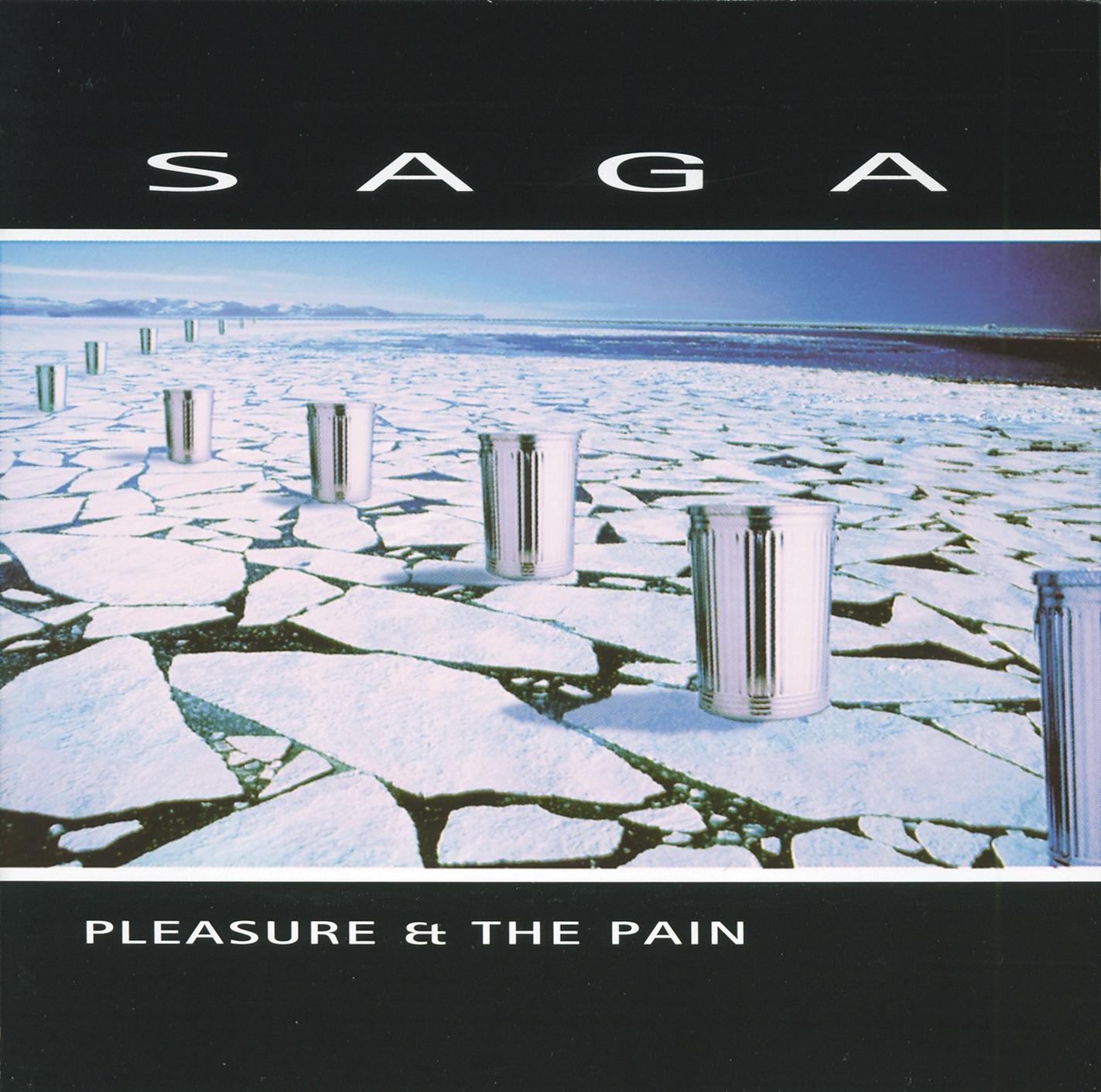 Pleasure & the Pain