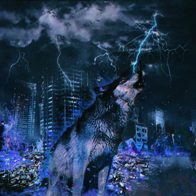 Album cover art for Lonely wolf
