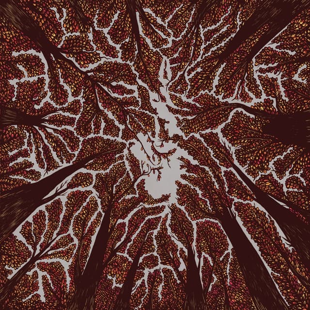 Album cover art for Crown Shyness