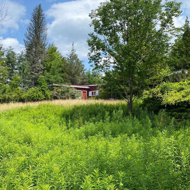 Album cover art for The Way Night Falls