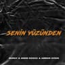 Senin Yüzünden