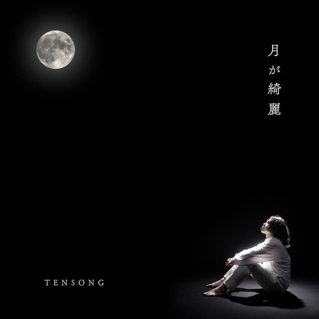 Album cover art for 月が綺麗
