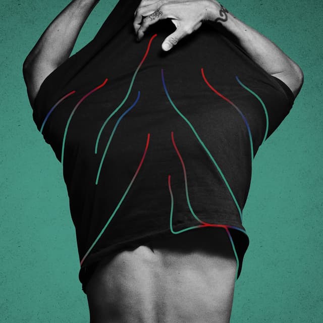 Album cover art for 羽