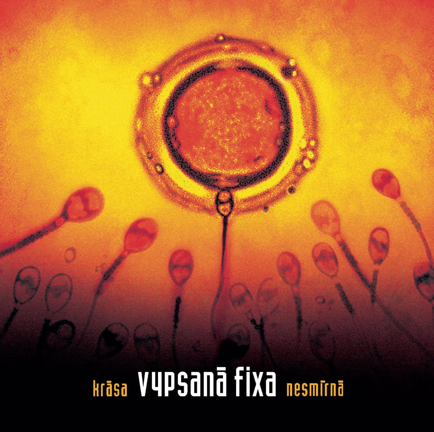 Lyric cover art