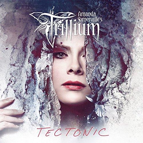 Album cover art for Tectonic
