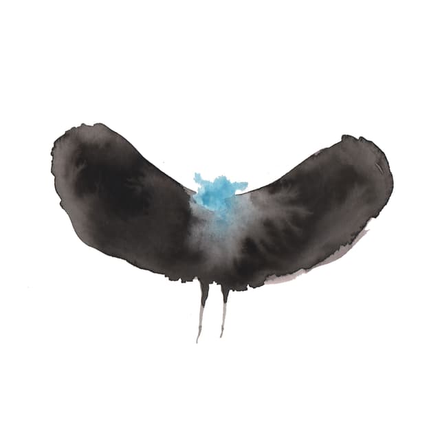 Album cover art for HAYWARDxDÄLEK